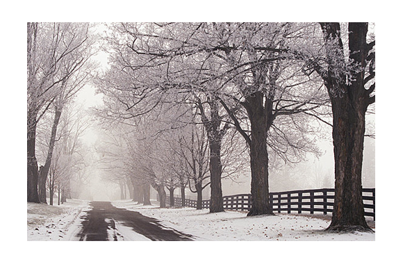 2019年共筑心连心的桥梁 - 之系列汉中（五）