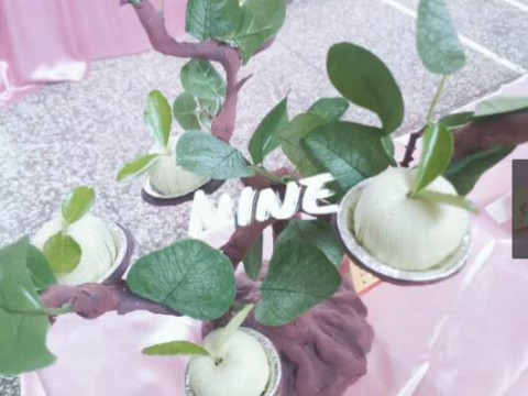 学生宅家 温习功课