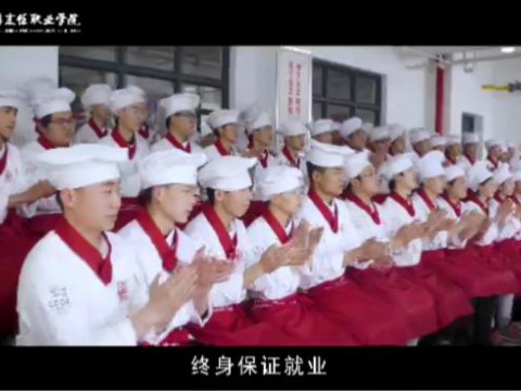 bw必威西汉姆联官方网站就业概述