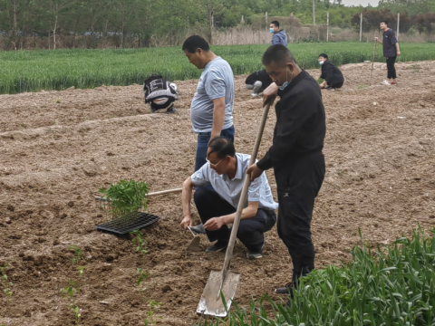 活动丨种植实践，拓展人生