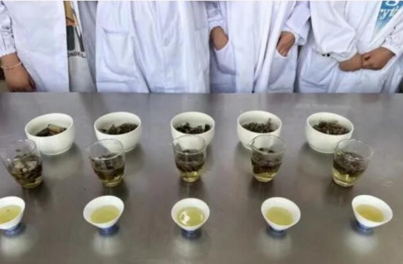 如法炮制技艺强，古法今制传承忙 bw必威西汉姆联官方网站《中医食疗药膳学》期末采取了“以赛代考”的检测模式