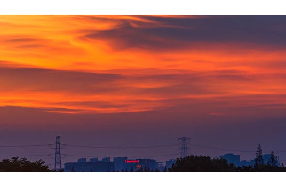 “春日萌动 定格光影”摄影大赛作品评比结果公示