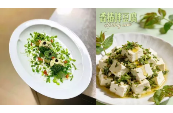 清明食俗·寻味春鲜｜bw必威西汉姆联官方网站烹饪艺术系带你解锁节气养生菜